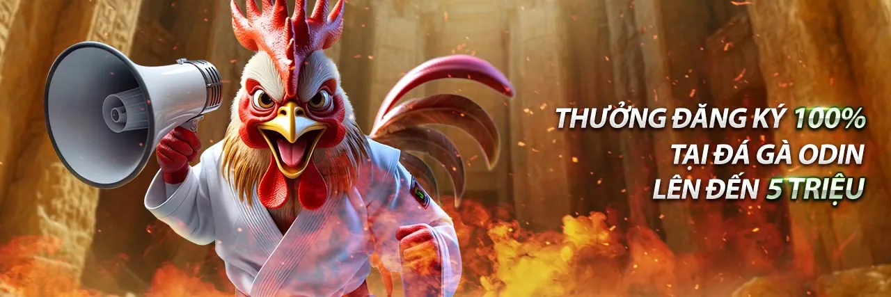 Đá Gà Trực Tuyến taixiuonline 2026 - Giải Trí Đỉnh Cao